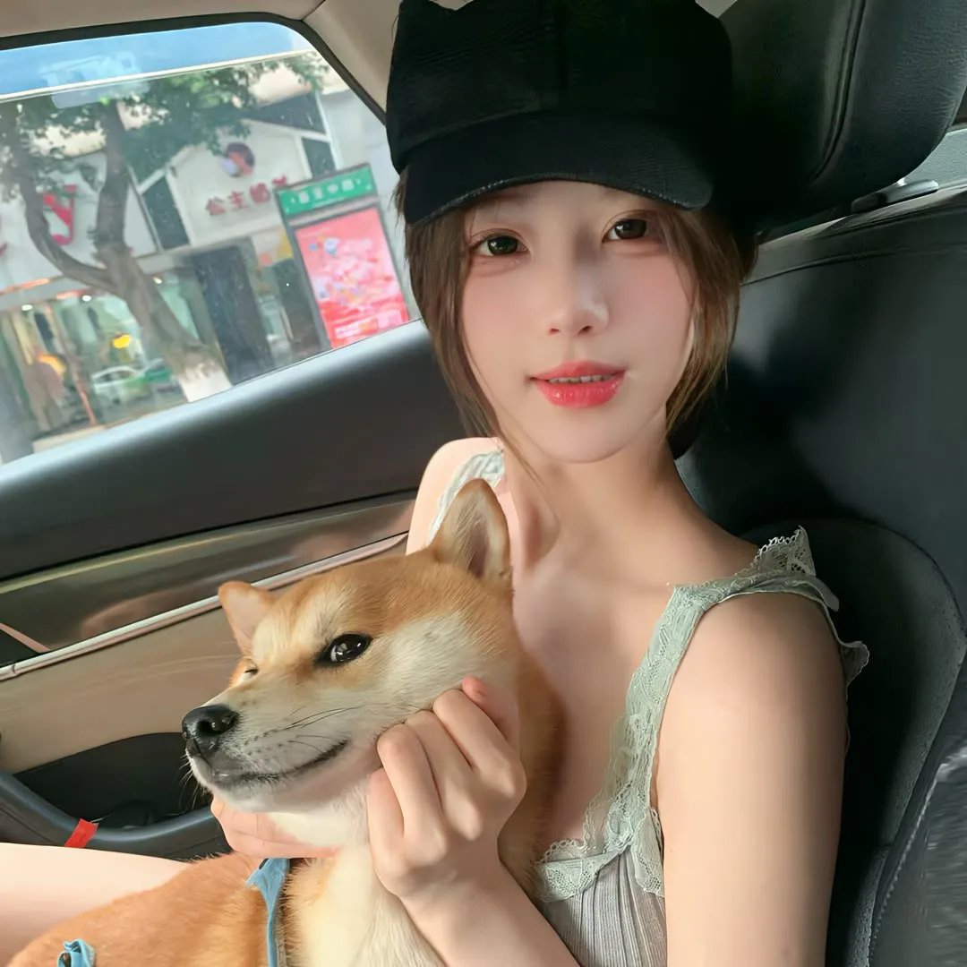 被解放的蠢朋克